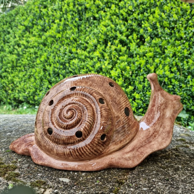 Snail: planter and lamp