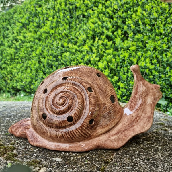 Snail: planter and lamp