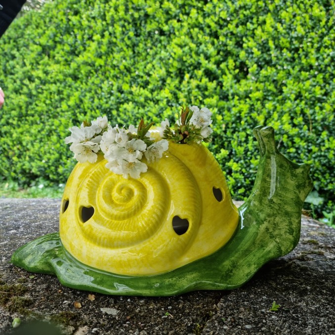 Snail: planter and lamp
