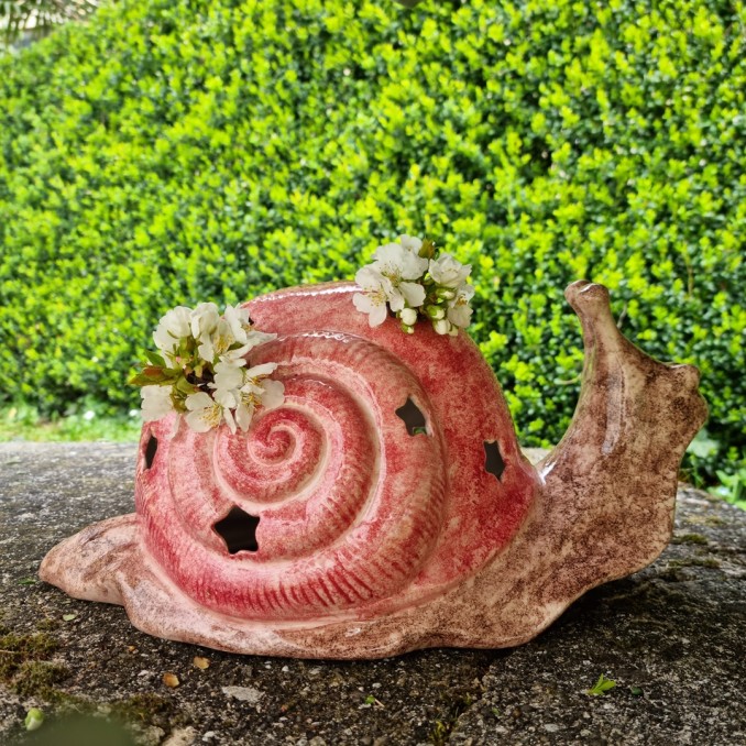 Snail: planter and Lamp
